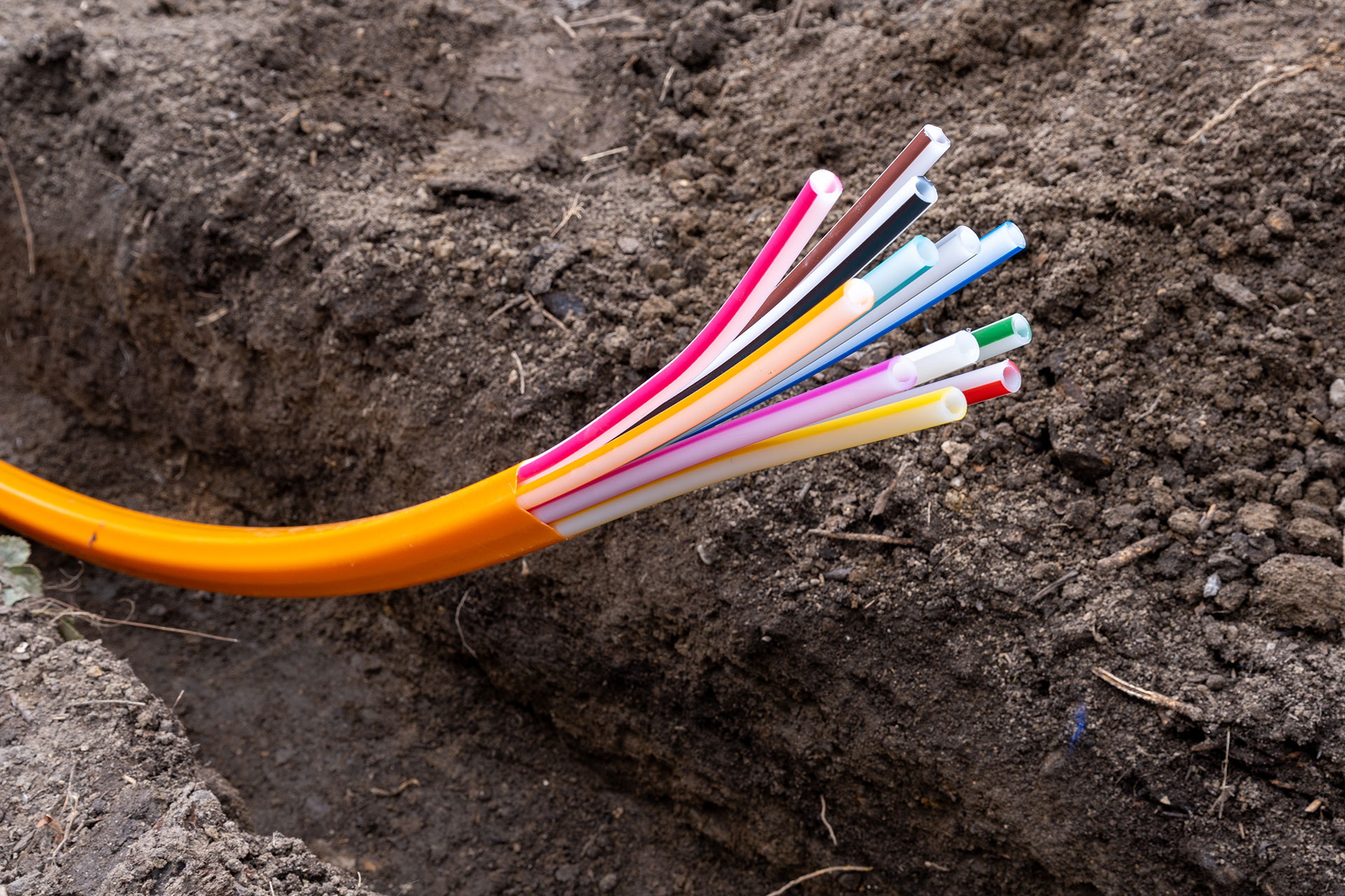 Telecommunication Services